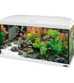 Ferplast Acquariologia-Acquario capri 80 bianco con led - 80 x 31.5 x h 46.5 cm, 100 l -