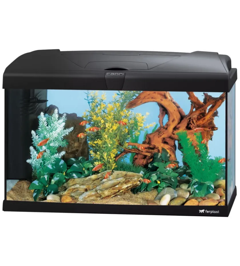 Ferplast Acquariologia-Acquario capri 60 nero con led - 60 x 31.5 x h 39.5 cm, 60 l -