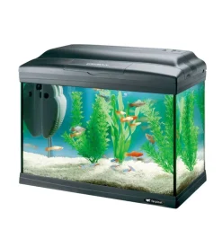Ferplast Acquariologia-Acquario cayman 40 classic nero - 41,5 x 21,5 x h 34 cm - 21 l -