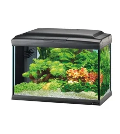Ferplast Acquariologia-Acquario cayman 40 classic nero - 62,5 x 34,5 x h 45,5 cm - 75 l -
