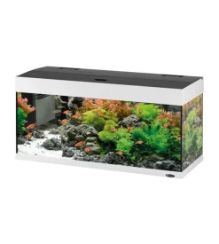 Ferplast Acquario dubai 100 bianco con led -101 x 41 x h 53 cm - 190 l - Hot