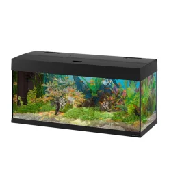 Ferplast Acquariologia-Acquario dubai 100 nero con led -101 x 41 x h 53 cm - 190 l -
