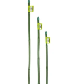 Verdemax Canna bamboo plastificata h60cm