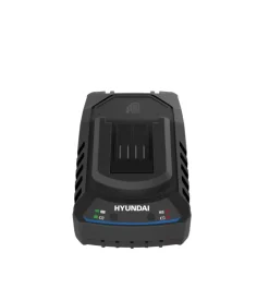 Hyundai Caricabatterie singolo 20v 2a - cod. 25896 Hot