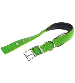 Ferplast Guinzagli E Pettorine-Collare in nylon modello c25/45 imbottito per cane e colore verde.