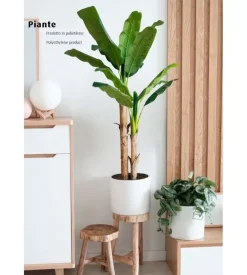 Pianta di banano in polietilene, 170 cm Best