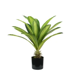 Pianta di dracaena in polietilene con 19 foglie, 60 cm Sale