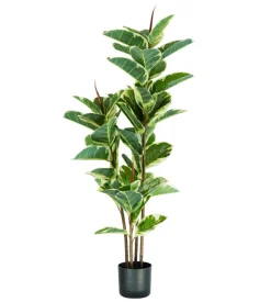 Fiori Artificiali-Pianta di ficus elastica in polietilene con 54 foglie, 145 cm
