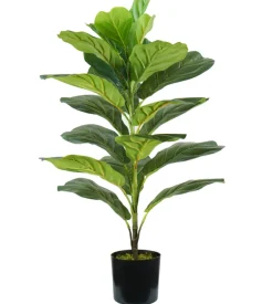 Pianta di ficus lyrata in polietilene con 21 foglie, 75 cm Best