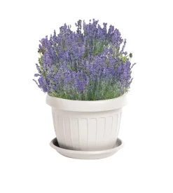 Bama Vaso terra d. 35 bianco Outlet